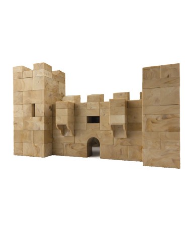 Castle of the Mota