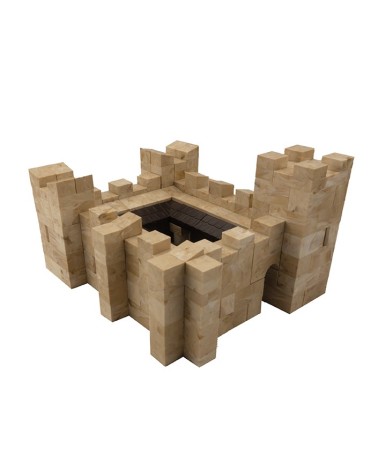 Castle of the Mota