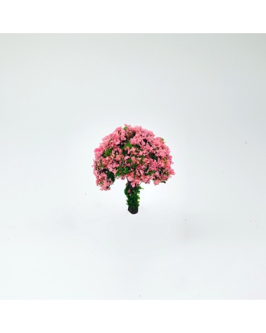 Alberi floreali Rosa