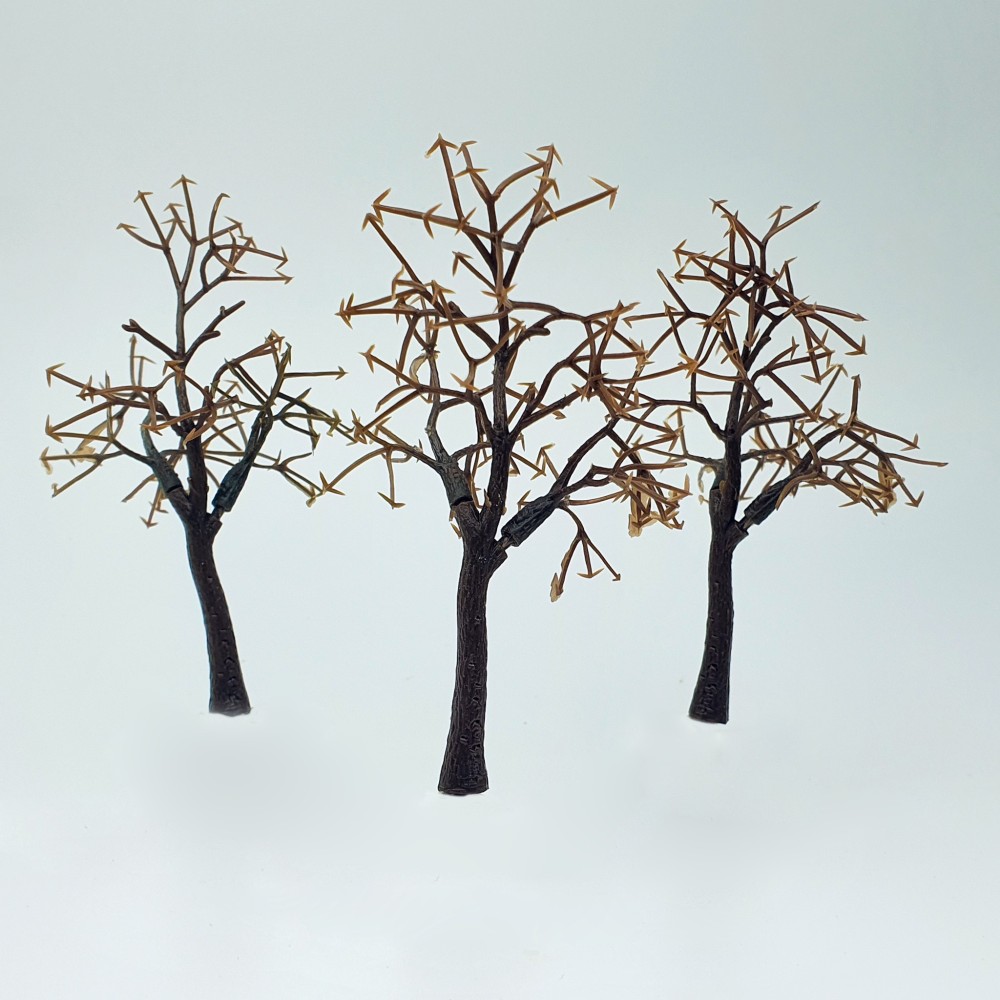 Arbres sans feuilles