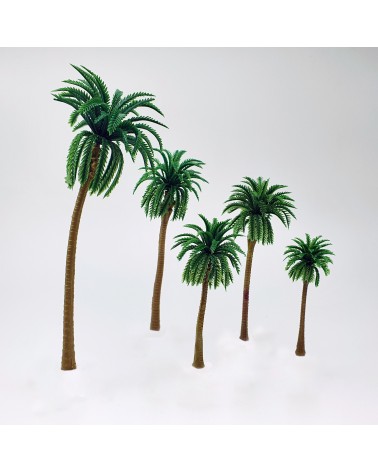 Palm trees