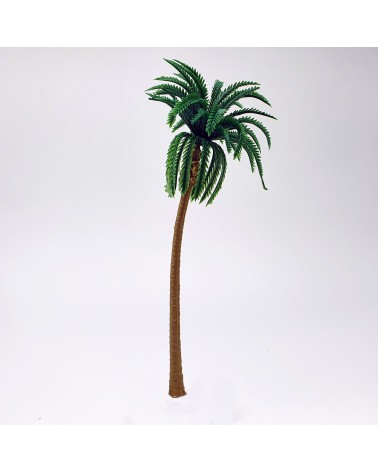 Palm trees