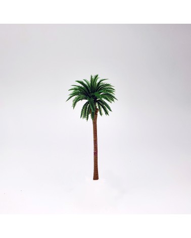 Palm trees