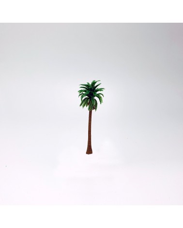 Palm trees
