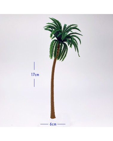 Palm trees