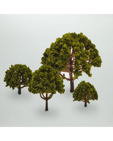 Flower trees Green Otoñal