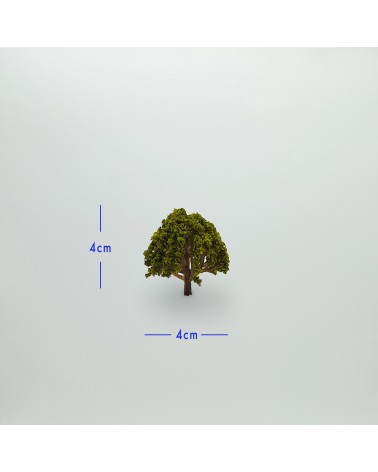 Fiore alberi verde Otoñal