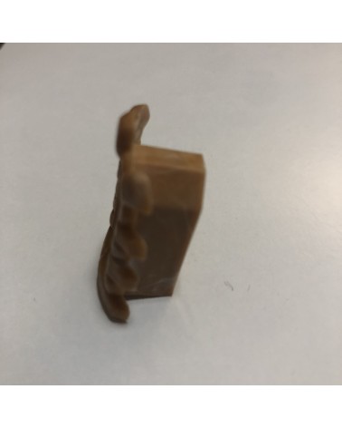 Light brown curve window EXIN