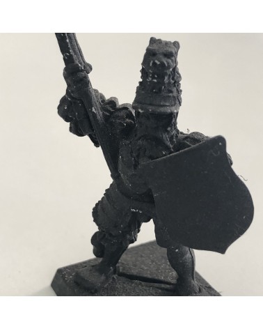 Soldier with Wrapped and shield MAK